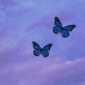 Meet your Posher, Rita